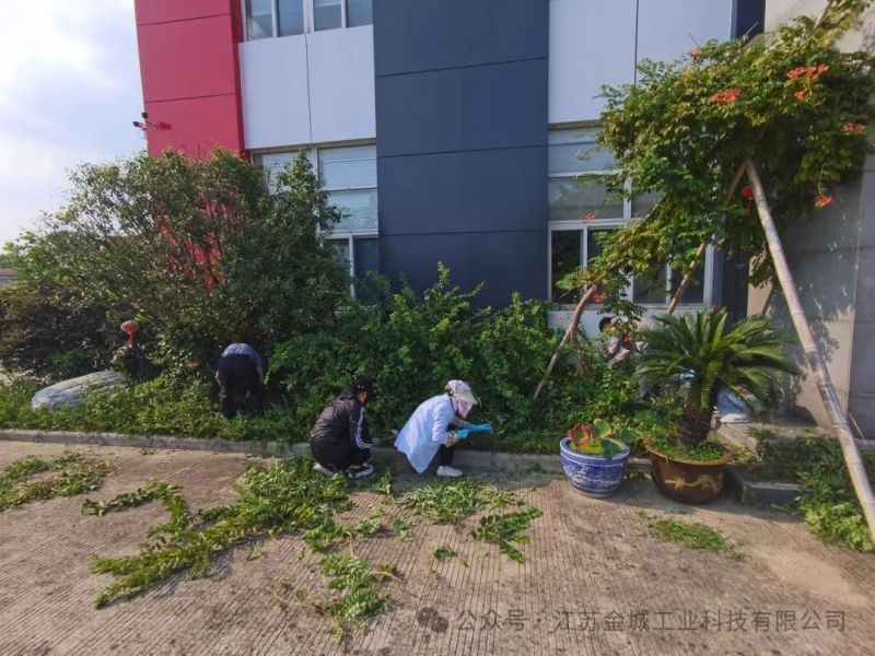 2024金城industrial park秋季全員綠化除草活動(dòng)圓 滿(mǎn)舉行